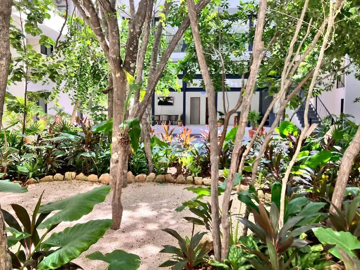 Central Tulum Ximbal 4 Guest Wifi Pool Gym Laundry דירה