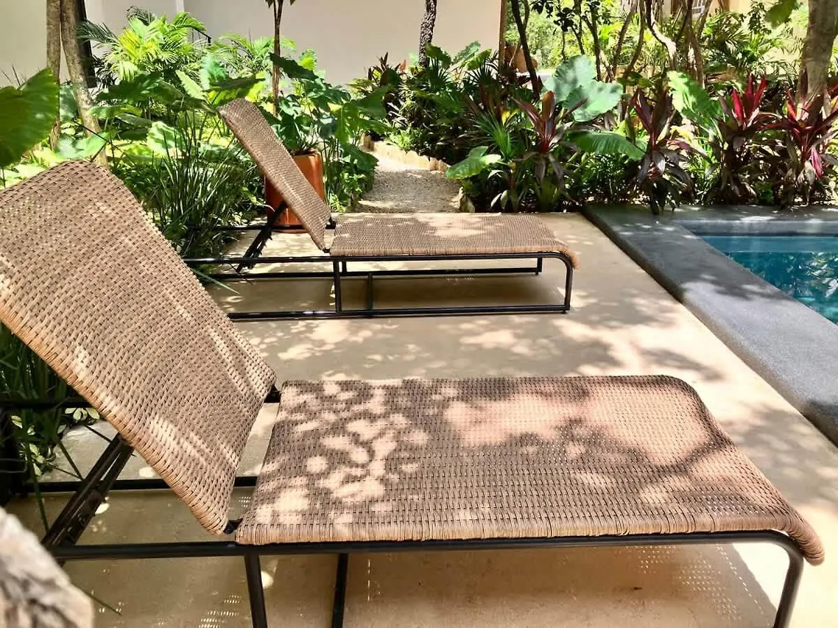 Central Tulum Ximbal 4 Guest Wifi Pool Gym Laundry דירה