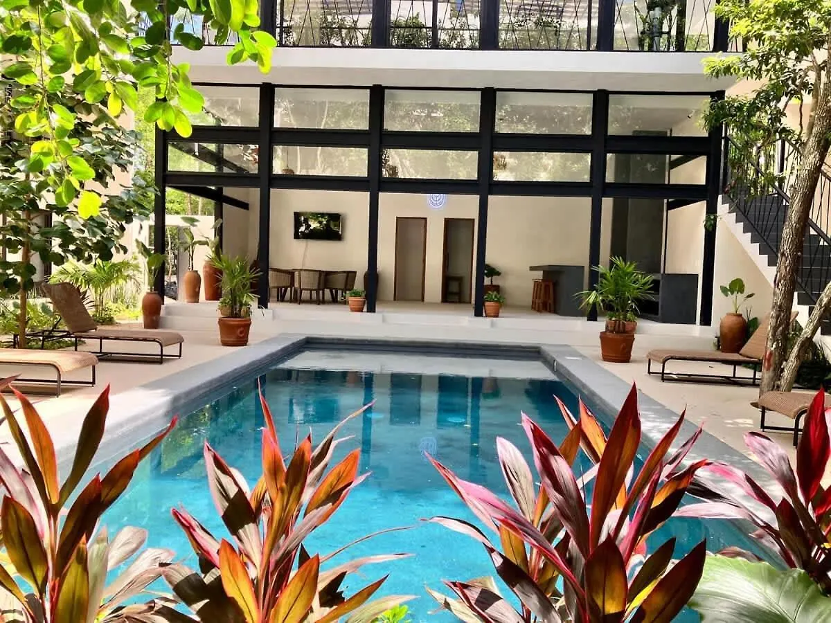 Apartment Central Tulum Ximbal 4 Guest Wifi Pool Gym Laundry