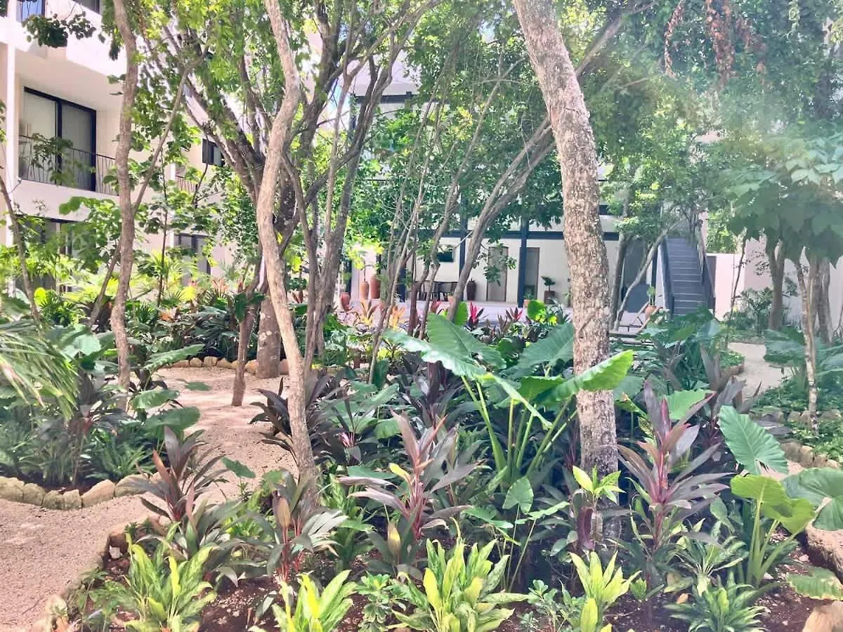Central Tulum Ximbal 4 Guest Wifi Pool Gym Laundry 0*,