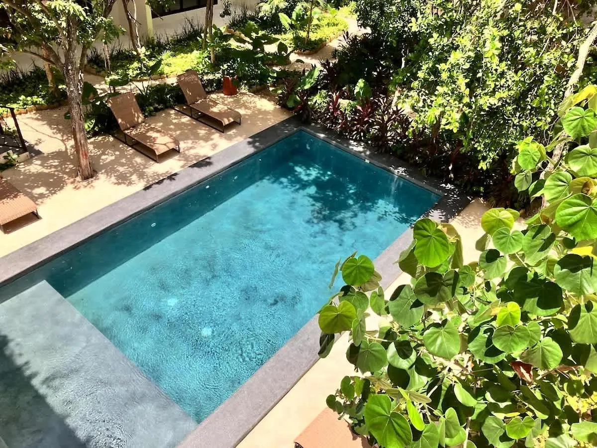 Central Tulum Ximbal 4 Guest Wifi Pool Gym Laundry 0*,  Mexico