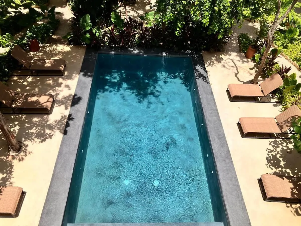 Central Tulum Ximbal 4 Guest Wifi Pool Gym Laundry 0*,  Mexico