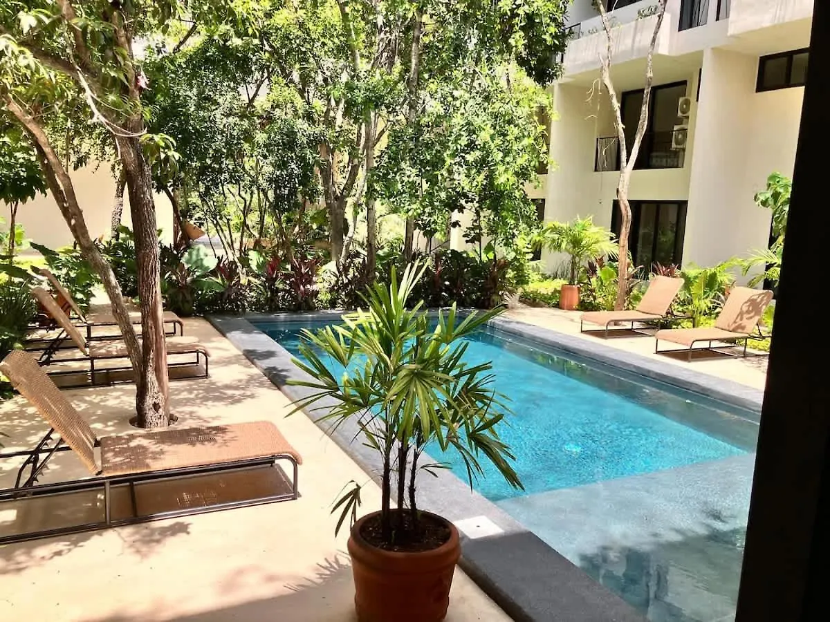 Central Tulum Ximbal 4 Guest Wifi Pool Gym Laundry