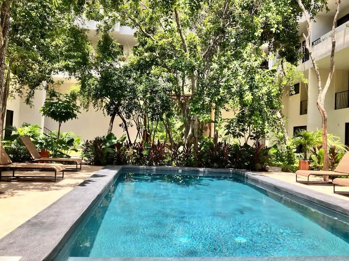 Central Tulum Ximbal 4 Guest Wifi Pool Gym Laundry 0*,